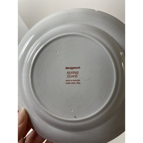Wedgwood Flying Cloud Rust Lot 4 place settings + extra dinner, tea + sugar jar - Picture 8 of 16